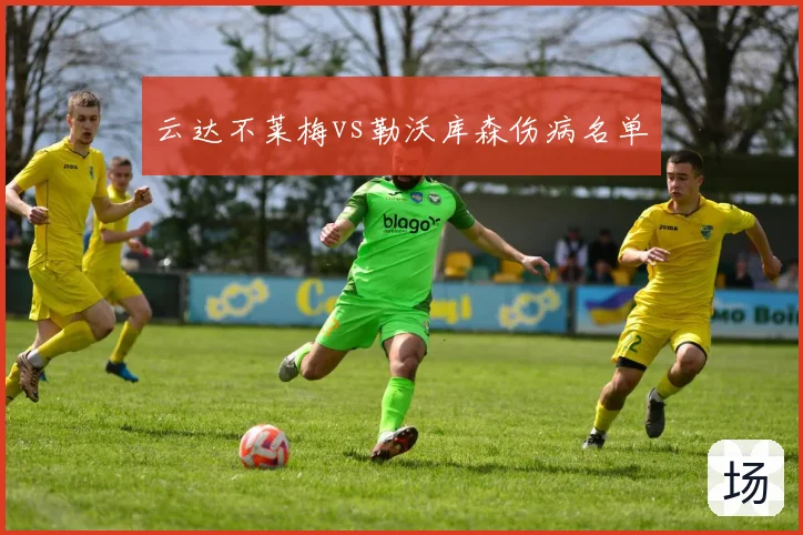 云达不莱梅vs勒沃库森伤病名单